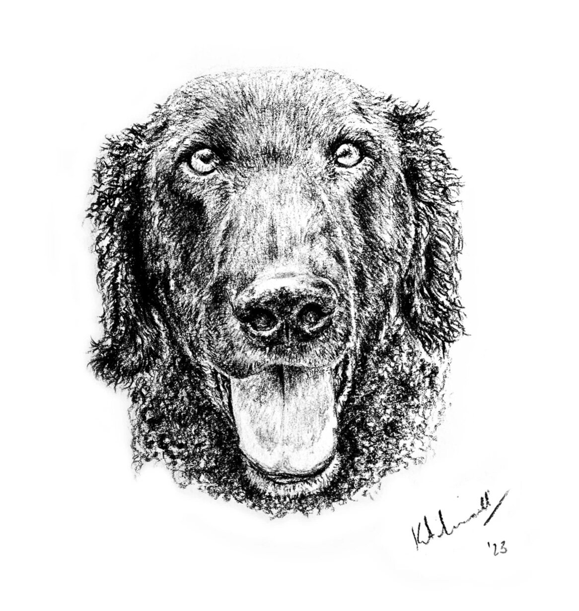 Kerry Lindsell CURLY COATED RETRIEVER Conte