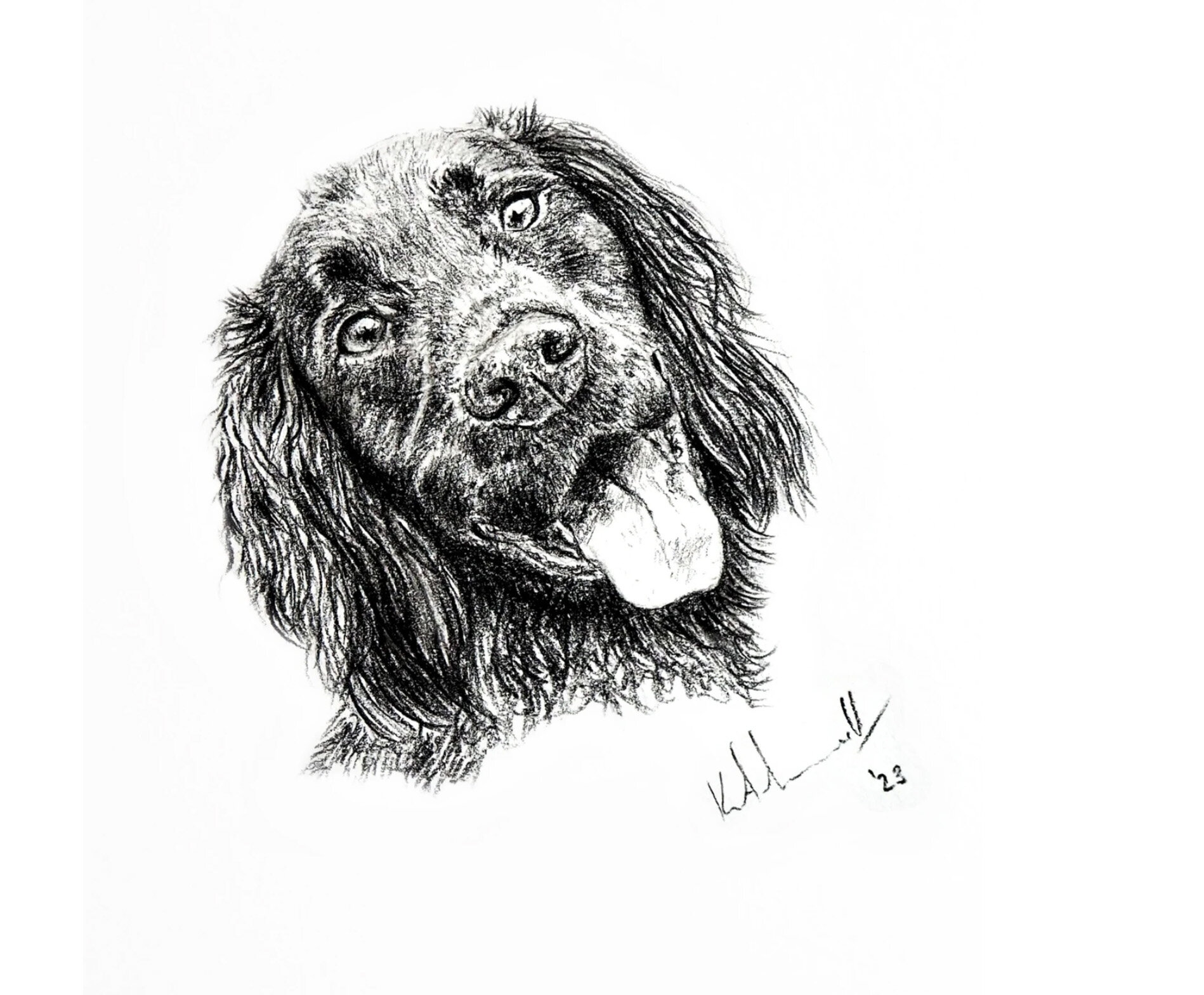 Kerry Lindsell WORKING COCKER SPANIEL Conte